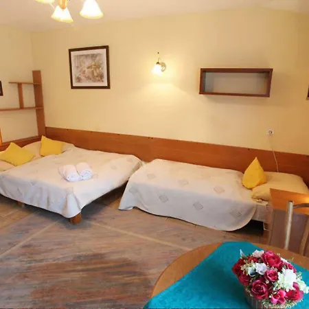 Séjour chez l'habitant Maggie *